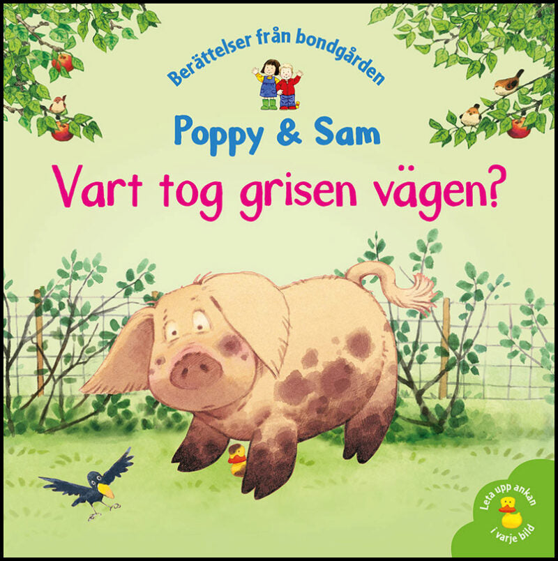 Amery, Heather| Cartwright, Stephen | Vart tog grisen vägen?