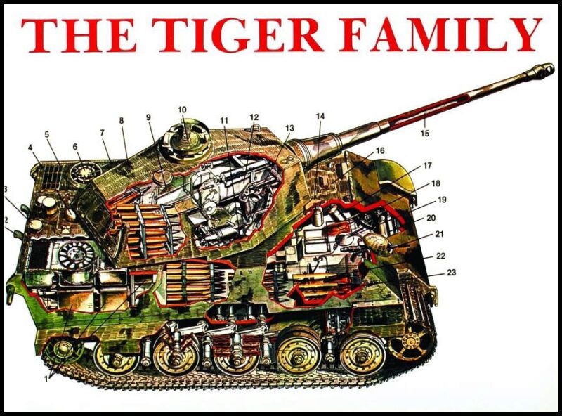 Scheibert, Horst | Tiger family