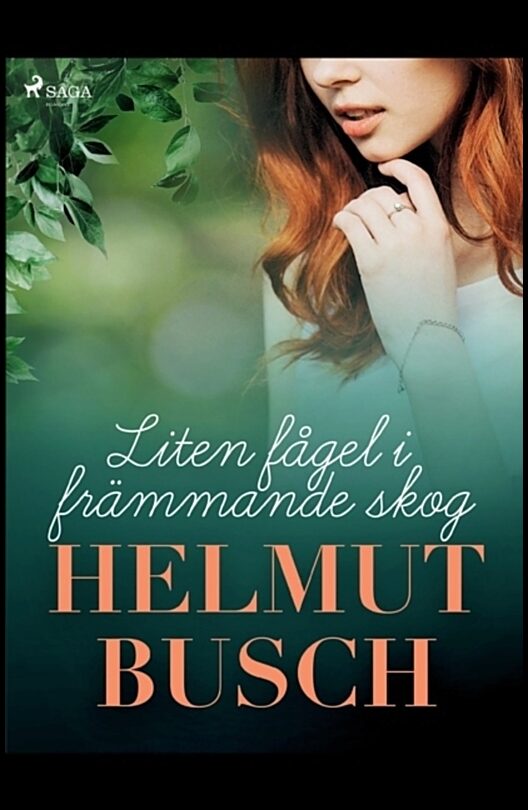 Busch, Helmut | Liten fågel i främmande skog