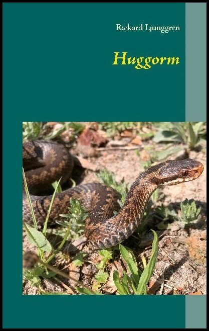 Ljunggren, Rickard | Huggorm