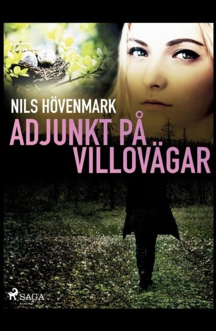 Hövenmark, Nils | Adjunkt på villovägar