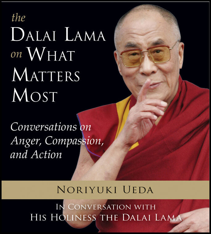 Ueda, Noriyuki | DALAI LAMA ON WHAT MATTERS MOST : Conversations On Anger, Compassion & Action