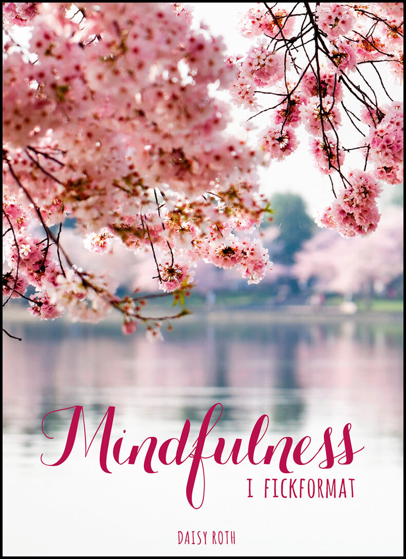 Roth, Daisy | Mindfulness i fickformat