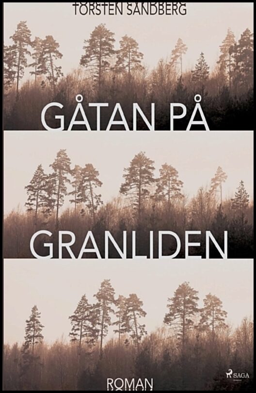 Sandberg, Torsten | Gåtan på Granliden