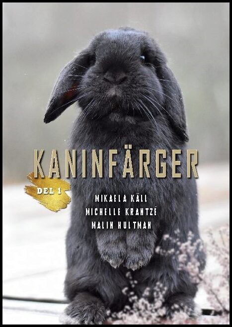 Käll, Mikaela| Krantzé, Michelle| Hultman, Malin | Kaninfärger. Del 1, Grundläggande färggenetik för nybörjare : Del 1