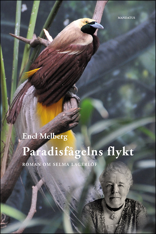 Enel Melberg | Paradisfågelns flykt